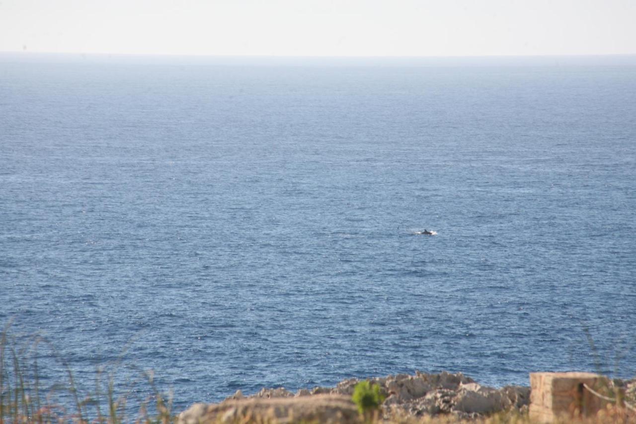 Villa Victor Cala'N Blanes  Esterno foto